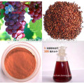 Hot Sale China Instant Grape Seed Bulk Extract Powder